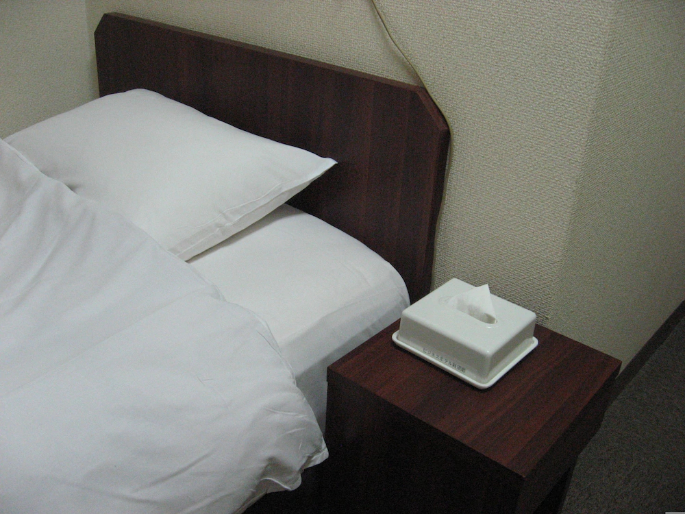 Business Hotel Shinsuma