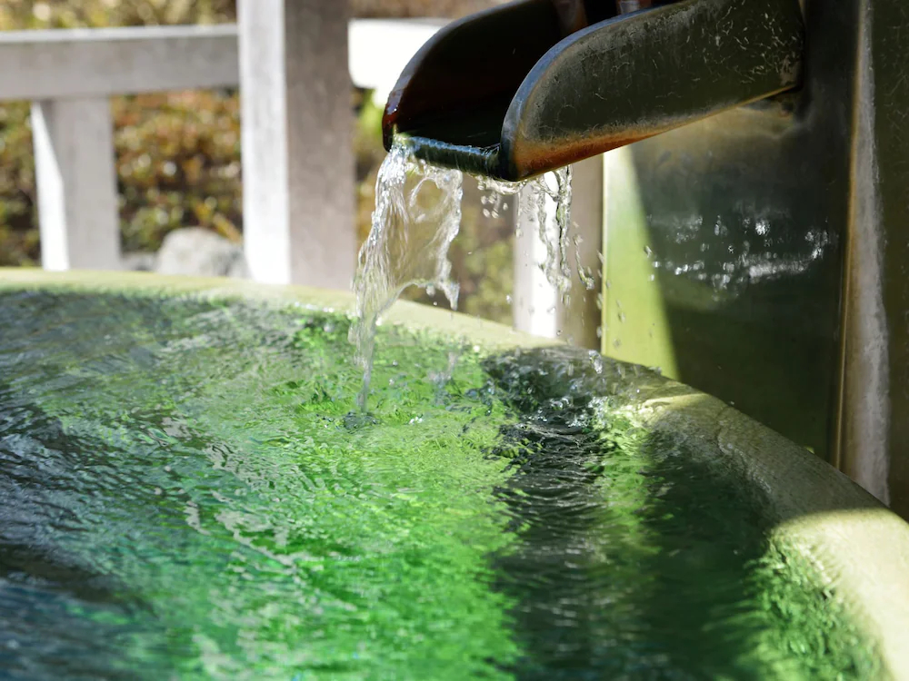 Narashinonosato Gyokusui