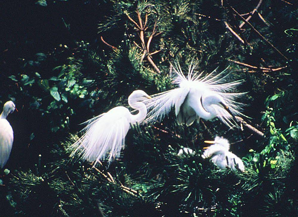 Hotel Live Max Himeji Ekimae