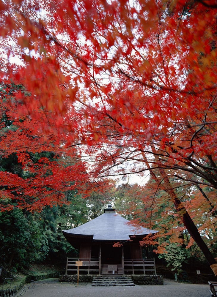Hiraizumi Hot Spring Ryokan Soba'an Shizukatei