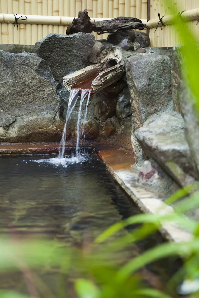 Hiraizumi Hot Spring Ryokan Soba'an Shizukatei