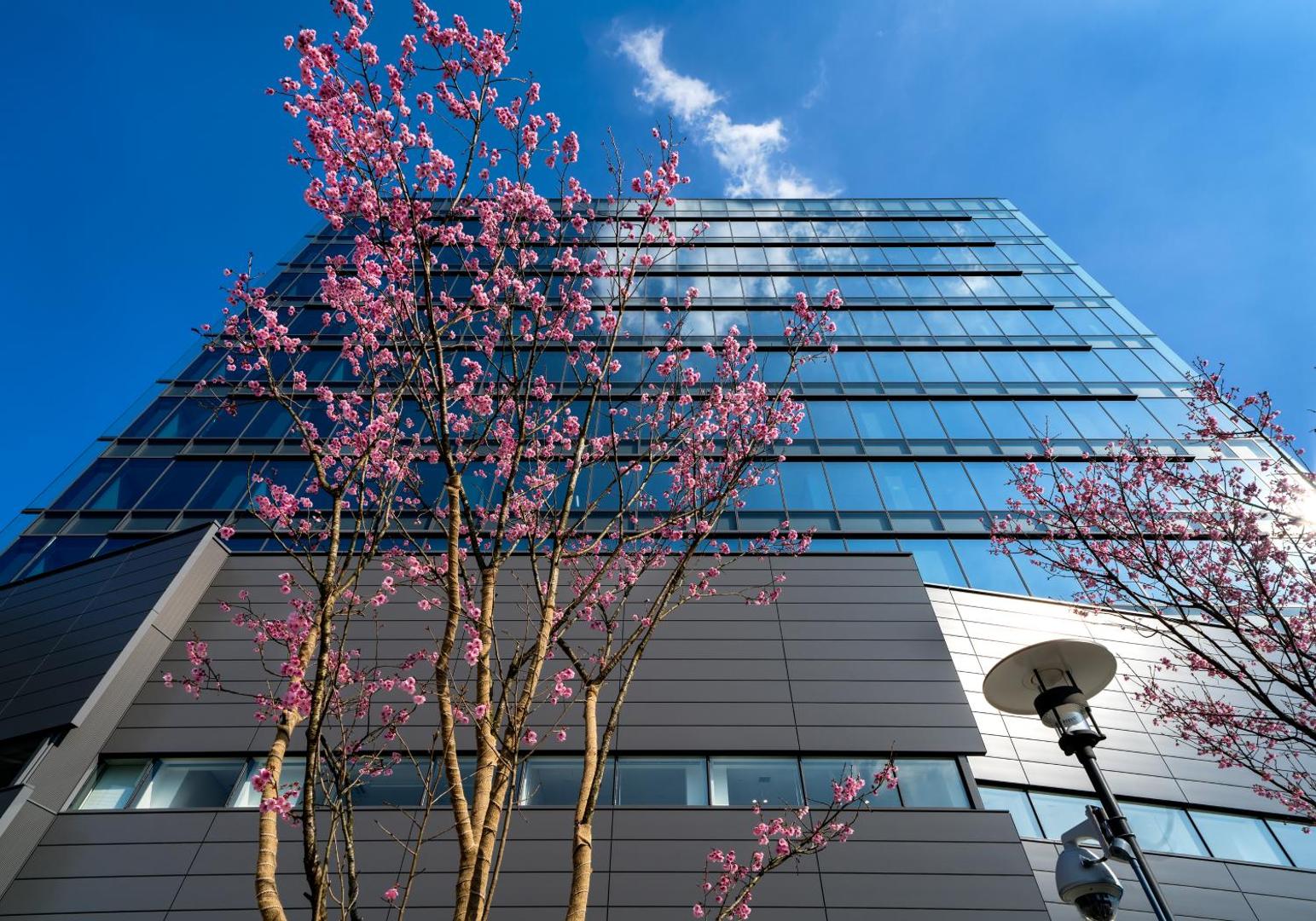 Daiwa Roynet Hotel Hiroshima Ekimae