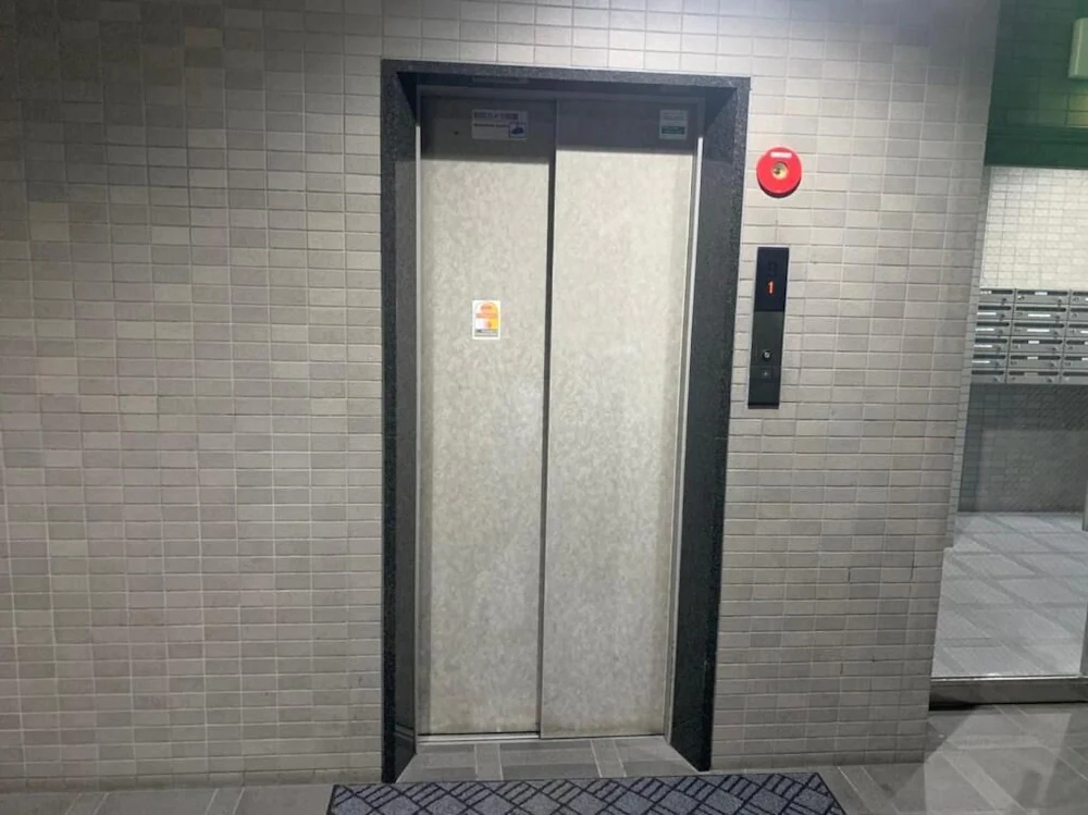 Hiroshima Your Court Dambara
