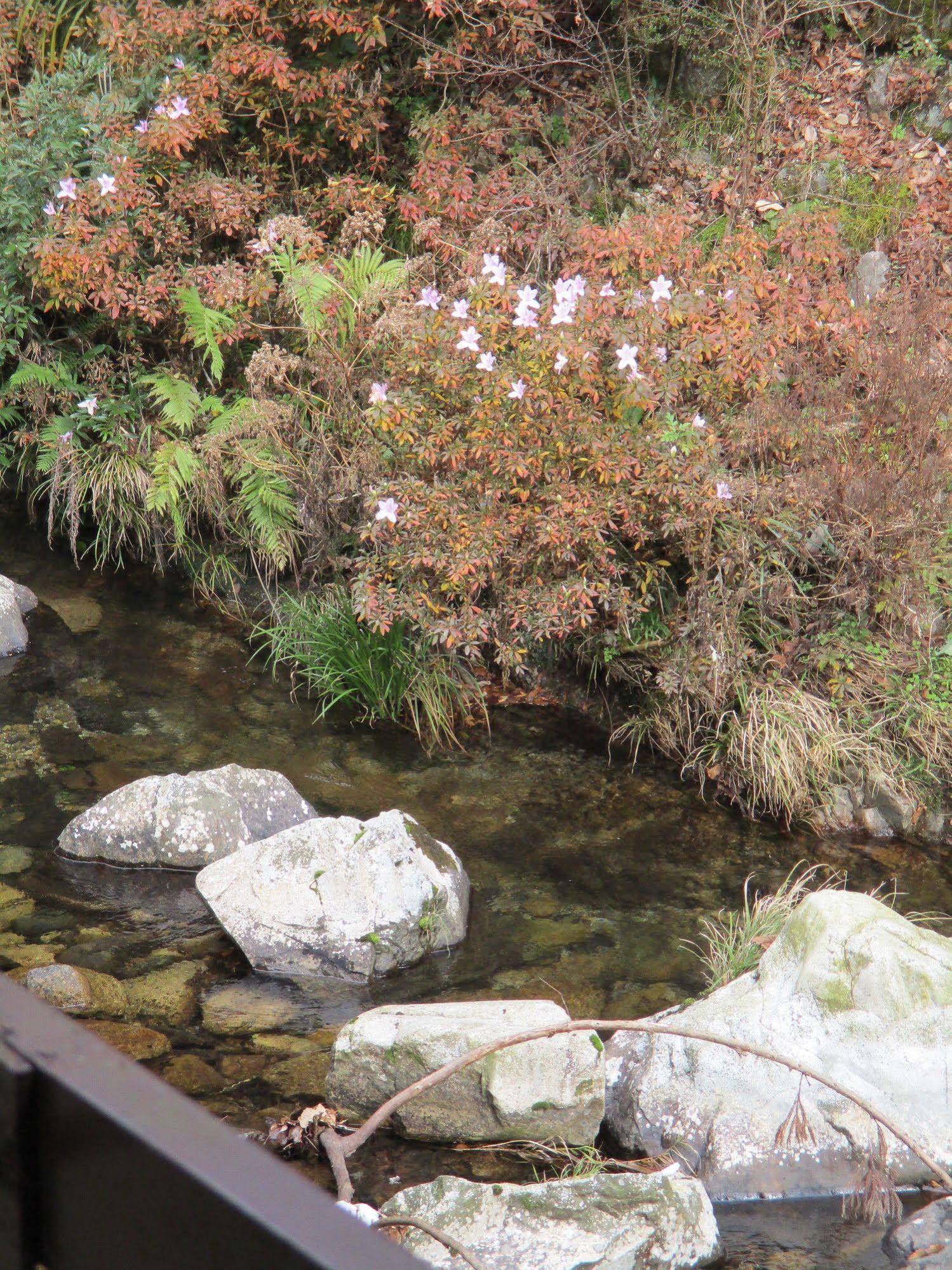 Weekly Spa House Red Pine