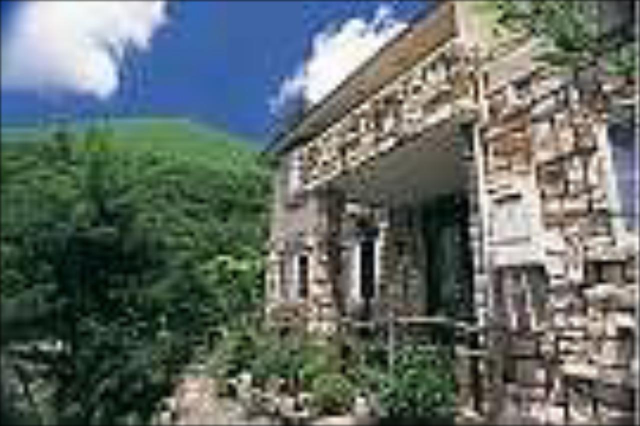 Grandvert Izu