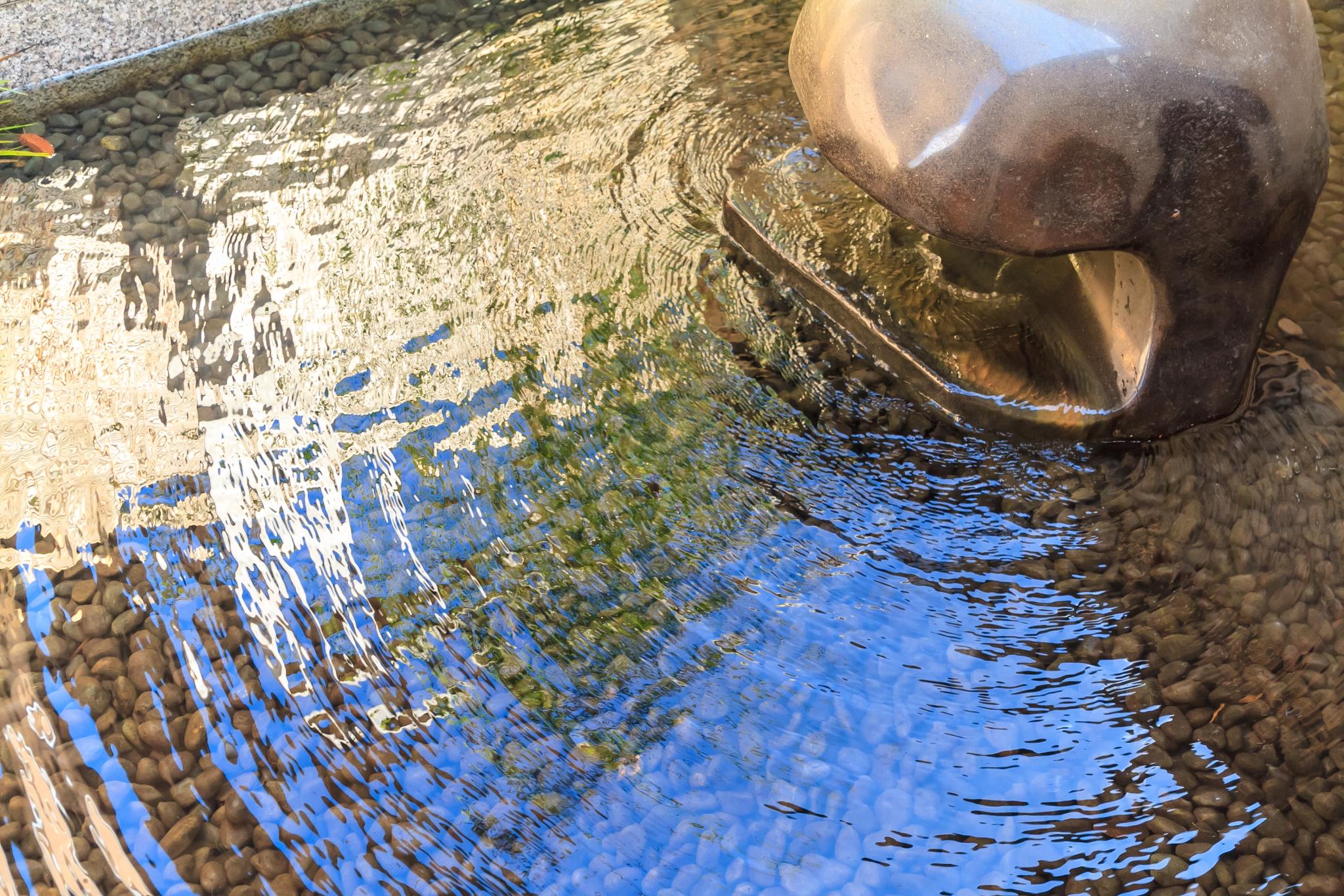 Izu Fuji Yamasakura Onsen Kaikan