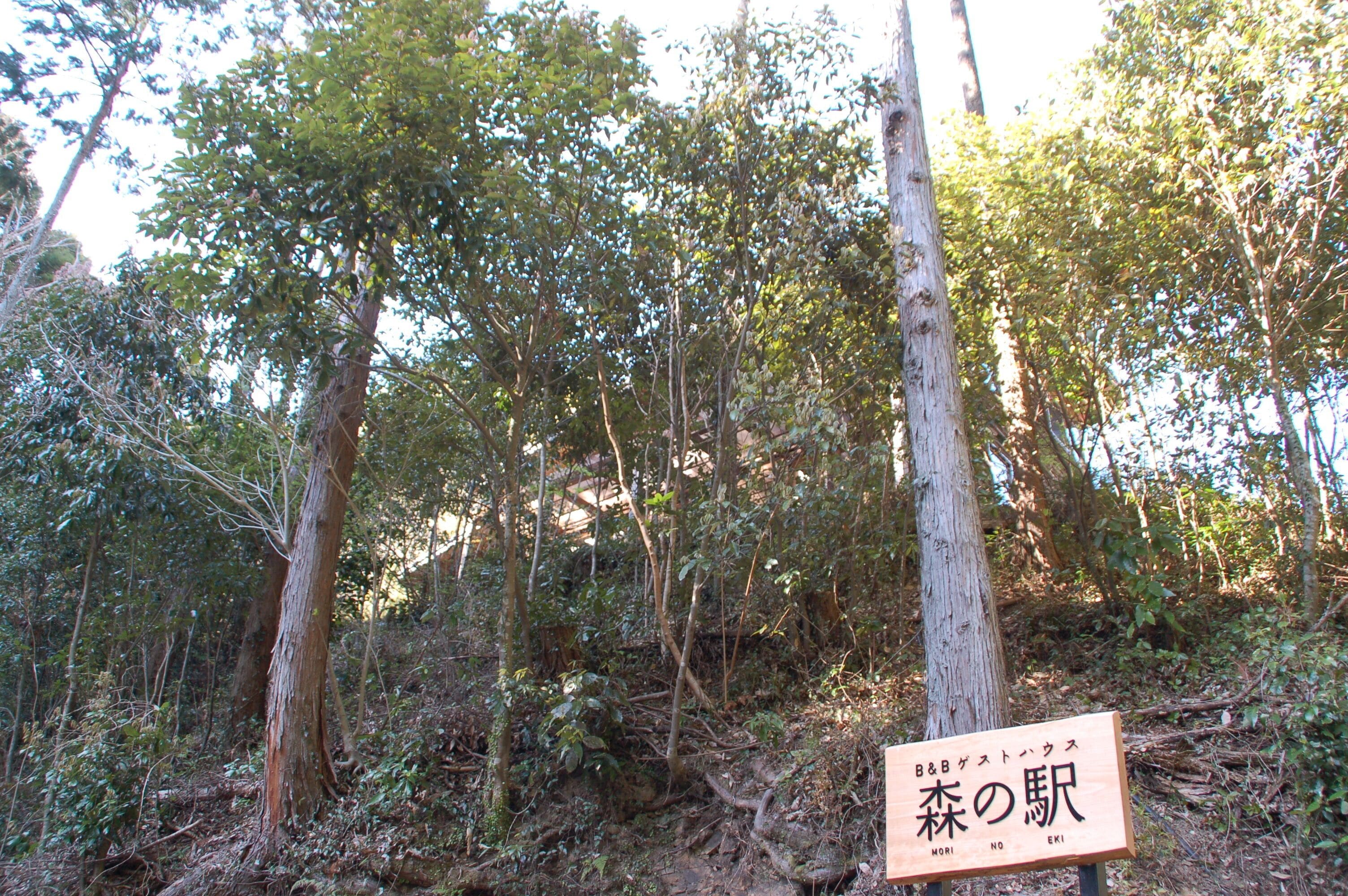 Guesthouse Mori No Eki