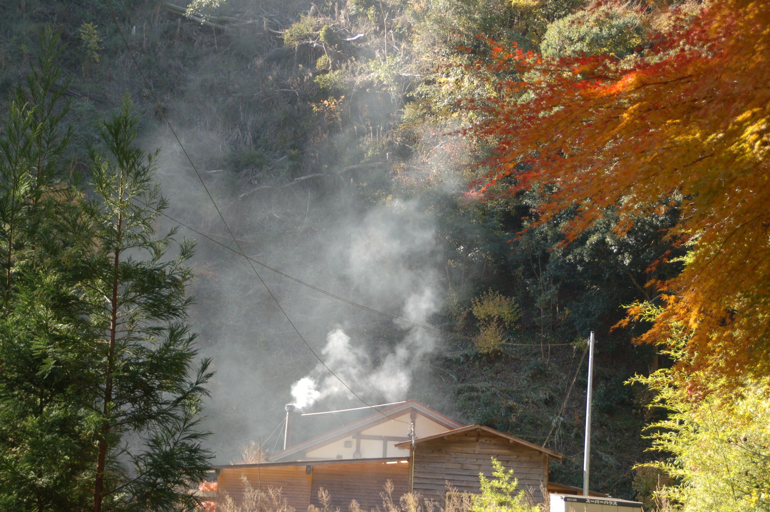 Guesthouse Mori No Eki