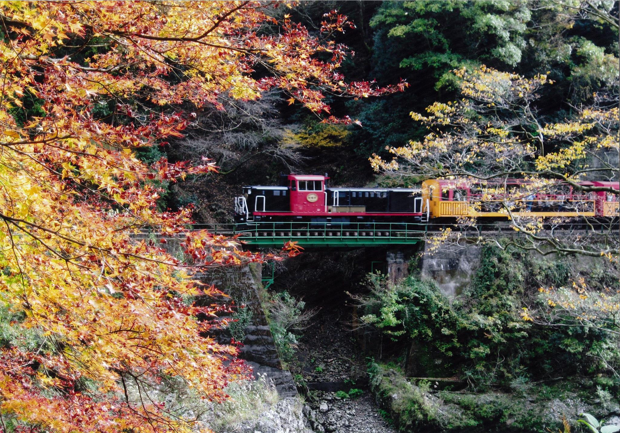 Sumiya Kihoan