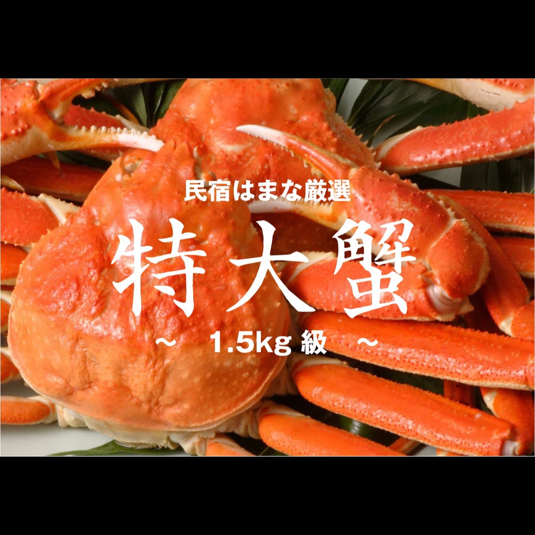 Irori No Yado Hamana