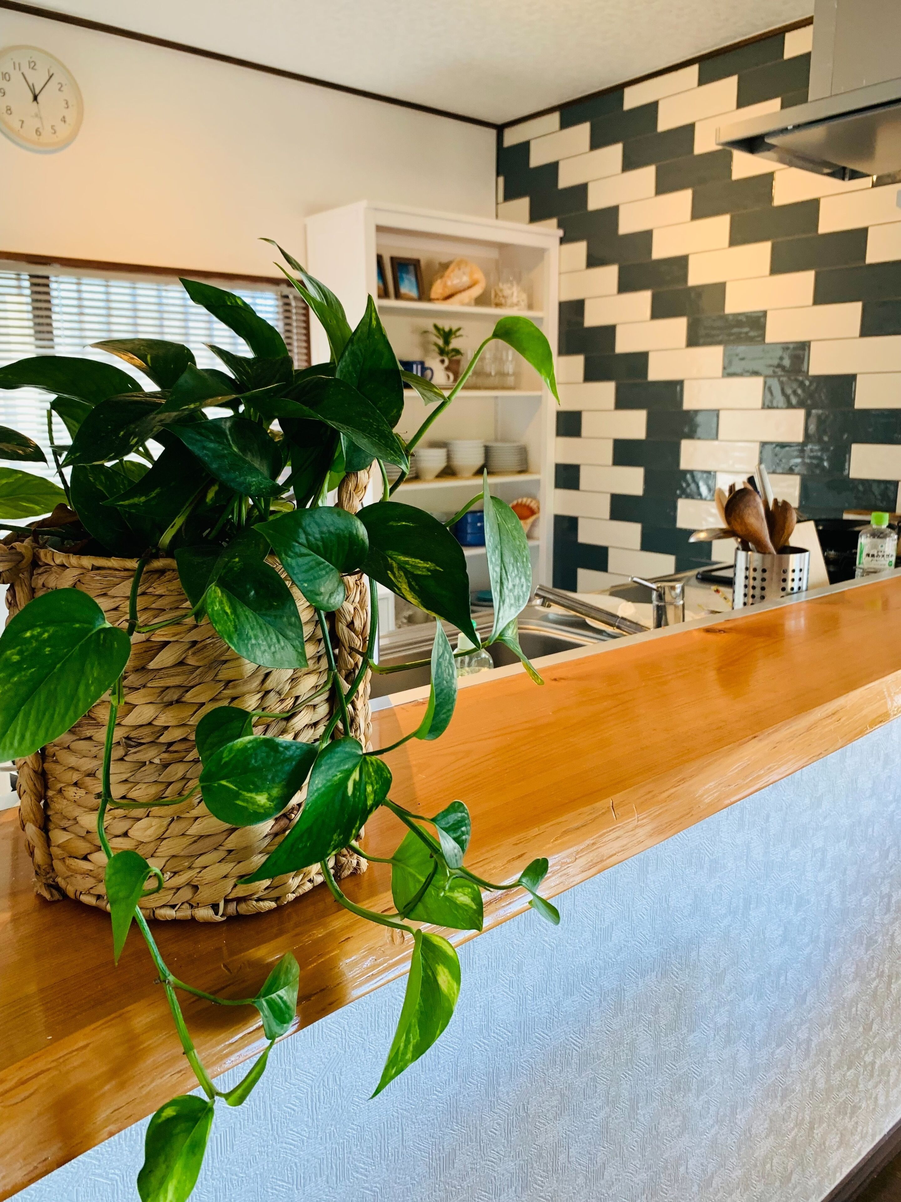 Kamogawa Ocean Front Villa