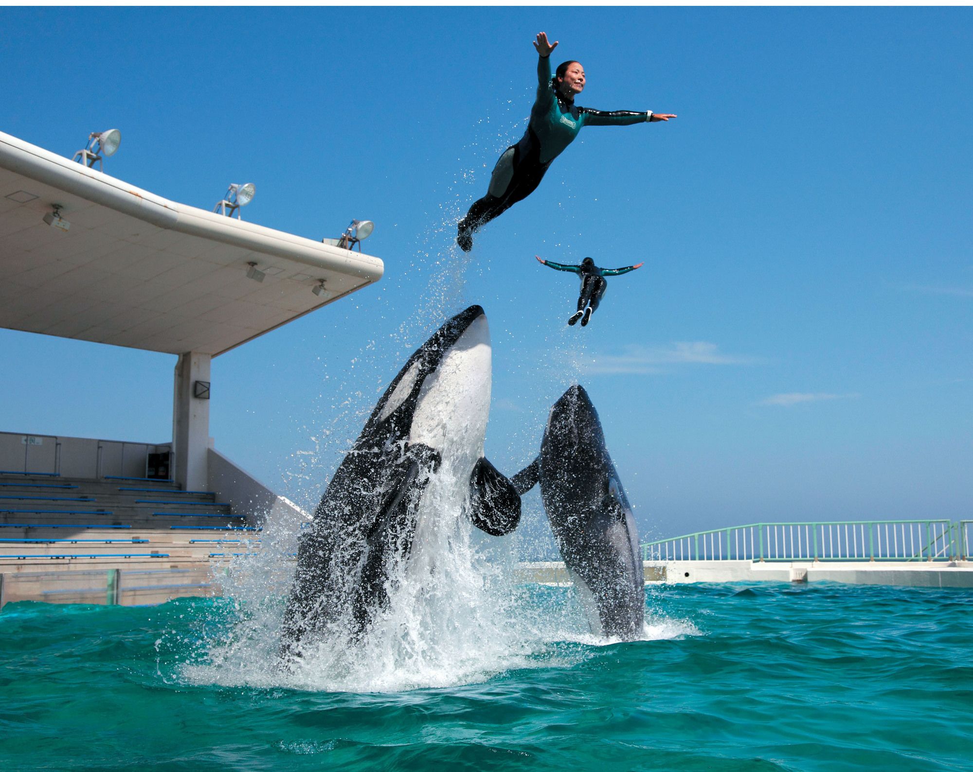 Kamogawa Sea World Hotel