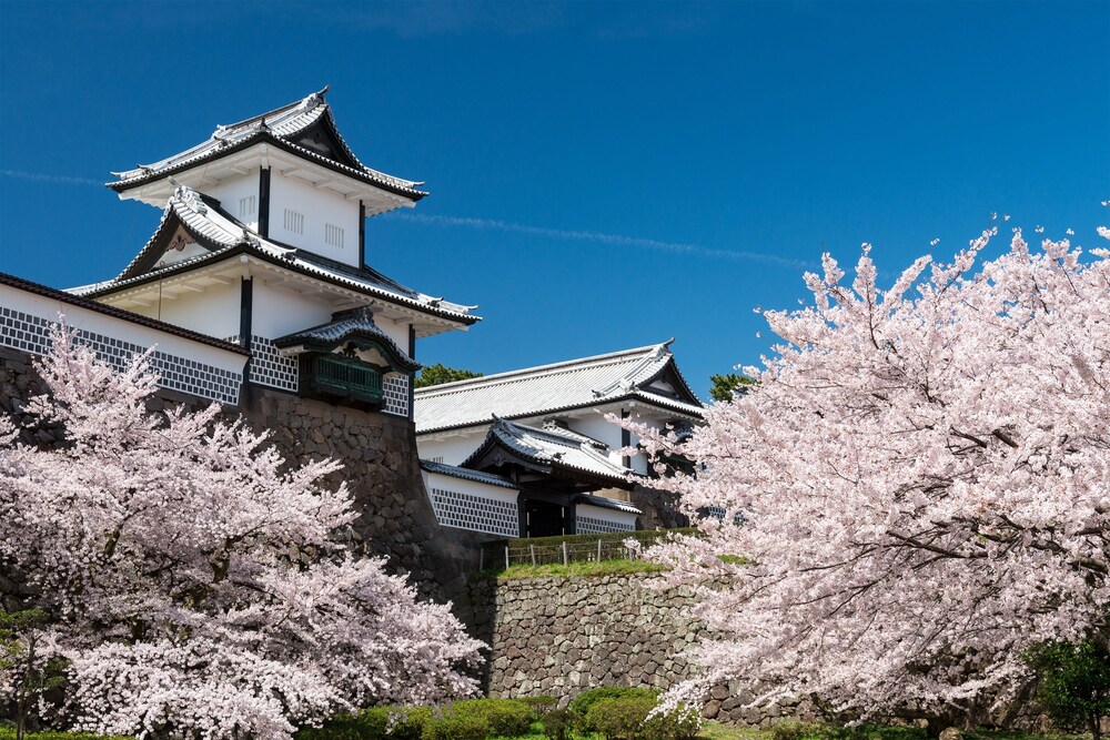 Daiwa Roynet Hotel Kanazawa Miyabi