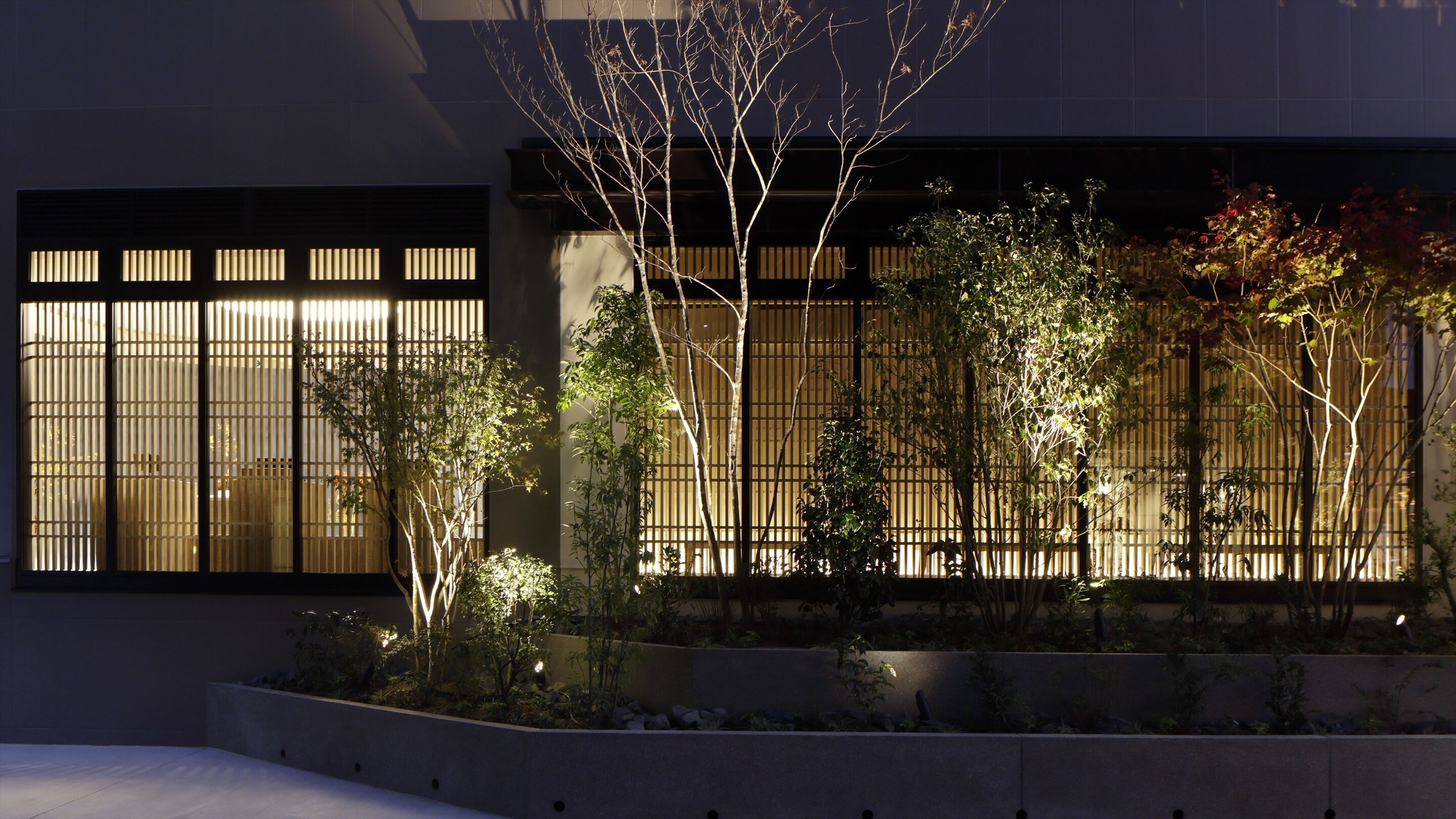 Soki Kanazawa
