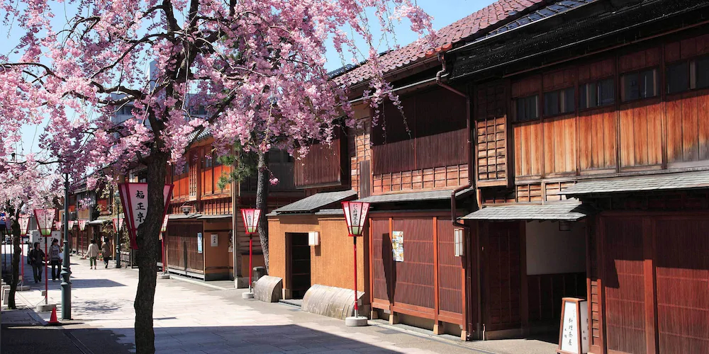 Wow! Kanazawa Stay Masuizumi