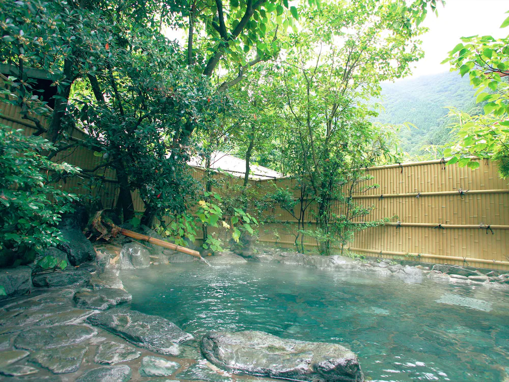 Okuoi Kanko Hotel Suikoen