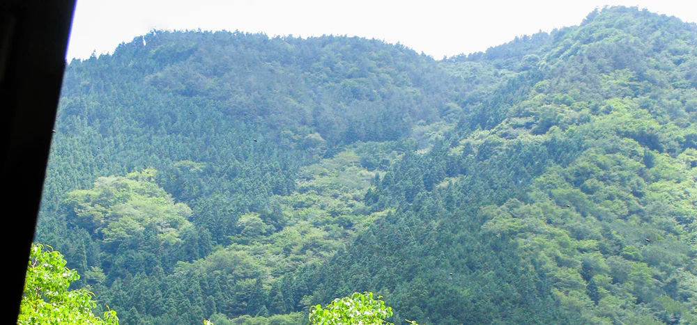 Okuoi Kanko Hotel Suikoen