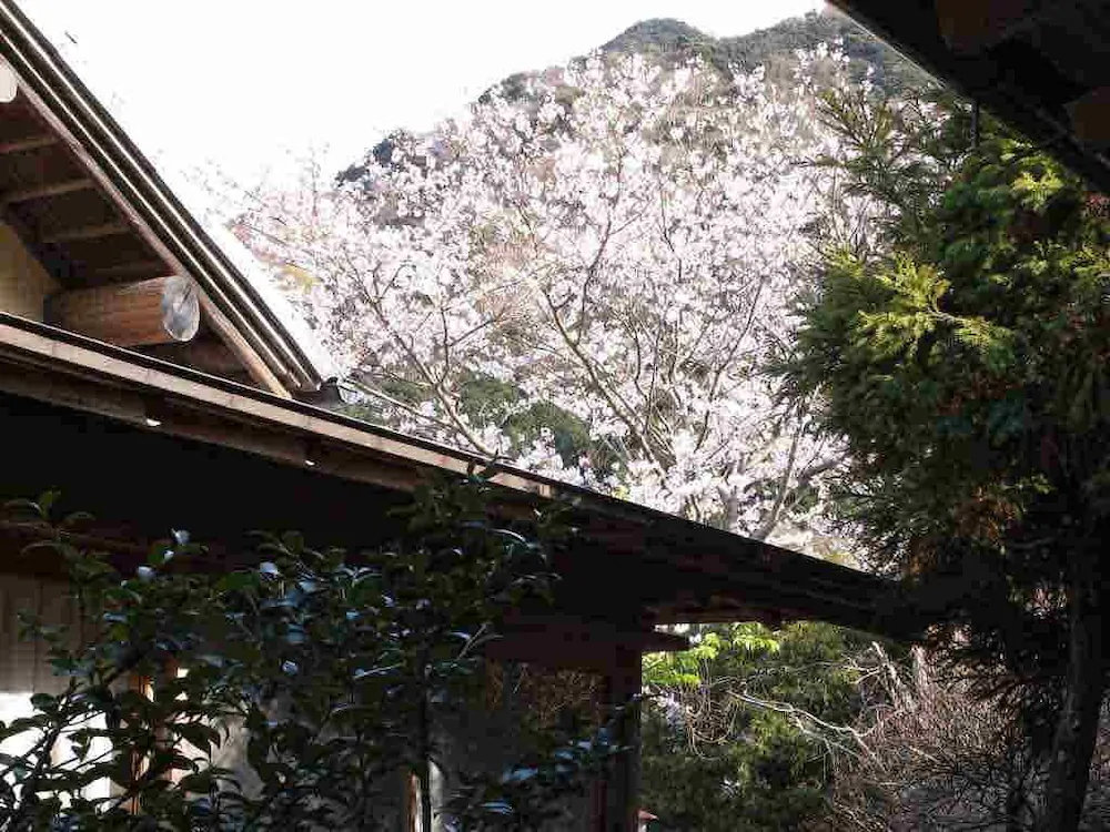Hanareya Ishidaya