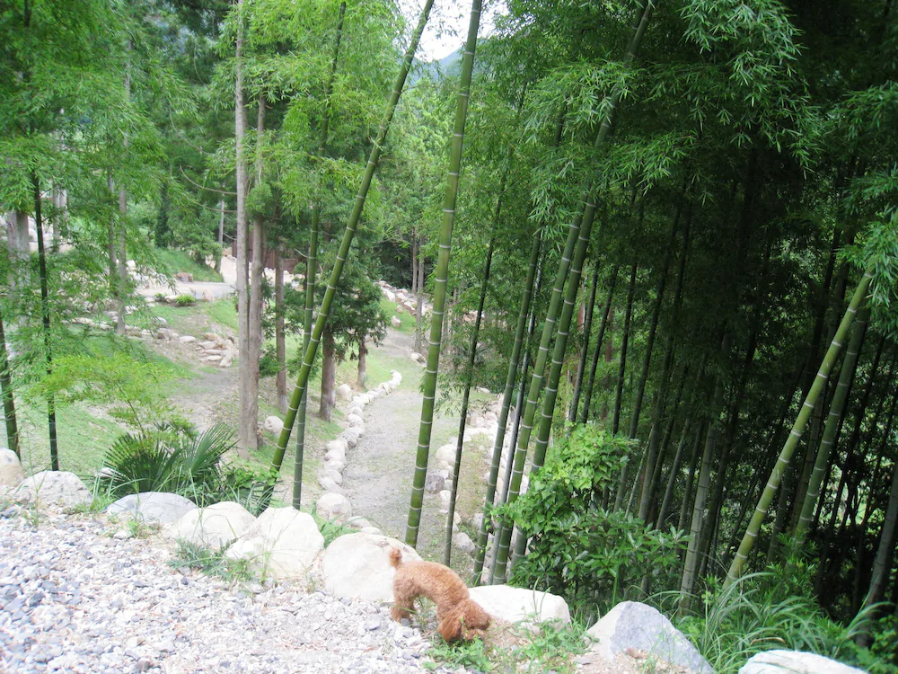 Hotel Shikinokura