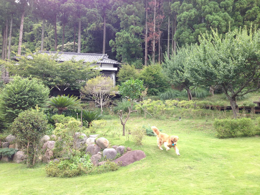 Hotel Shikinokura