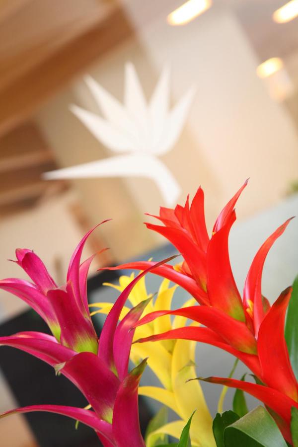 Izu-Imaihama Tokyu Hotel