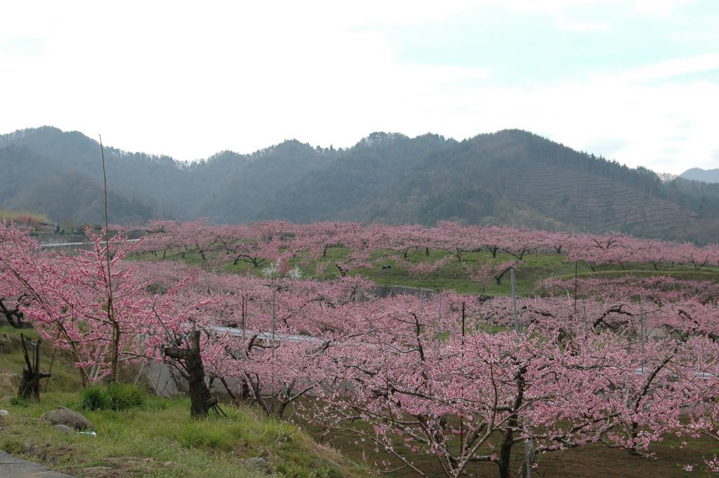 Isawa-onsen Hotel Hatta