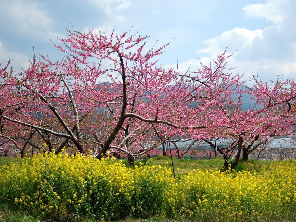 Isawa-onsen Hotel Hatta