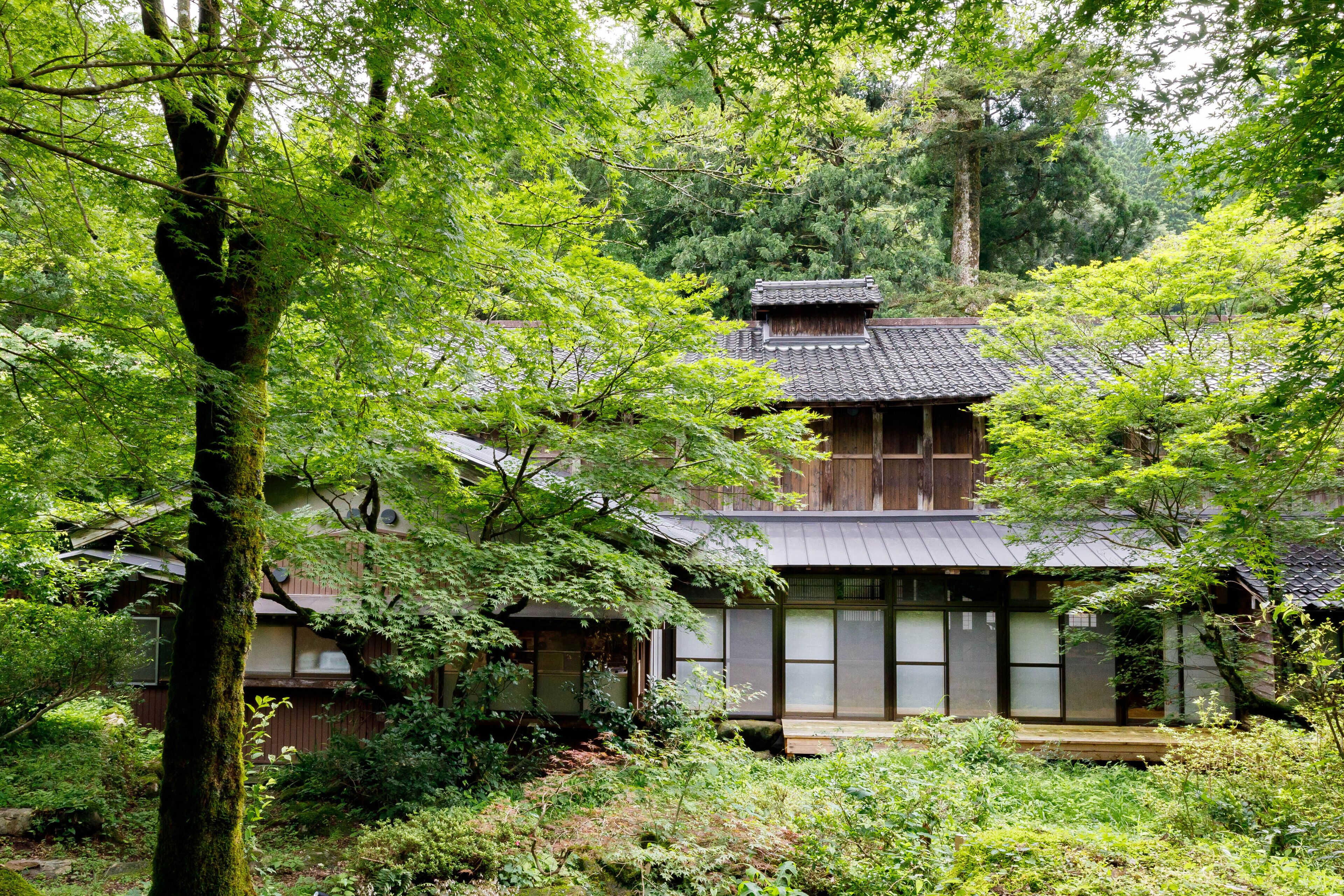 Denpaku Komatsu