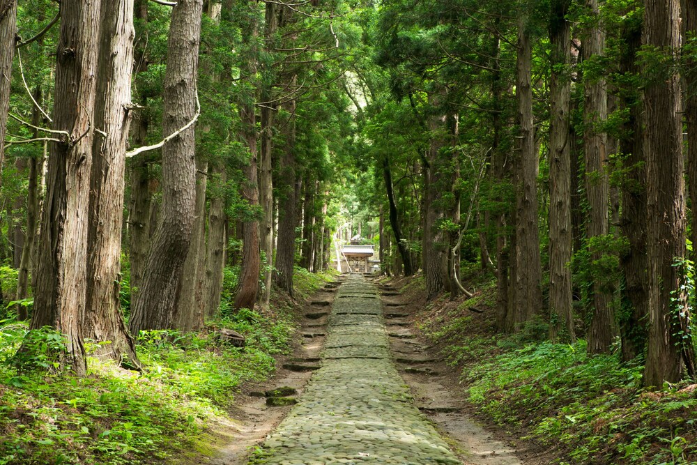 Inawashiro Shikinosato Ryokan