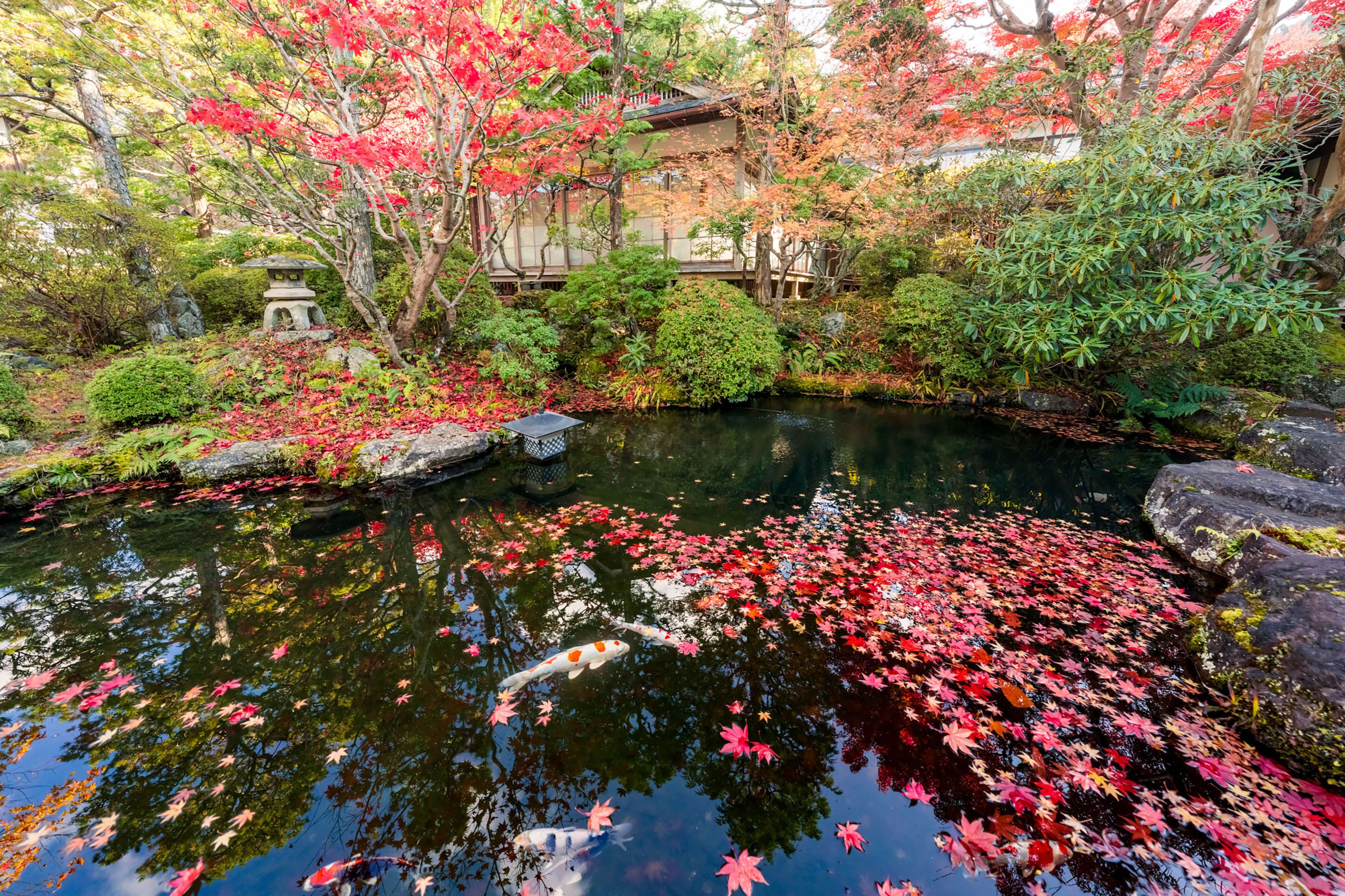 Koyasan Syukubo Ekoin