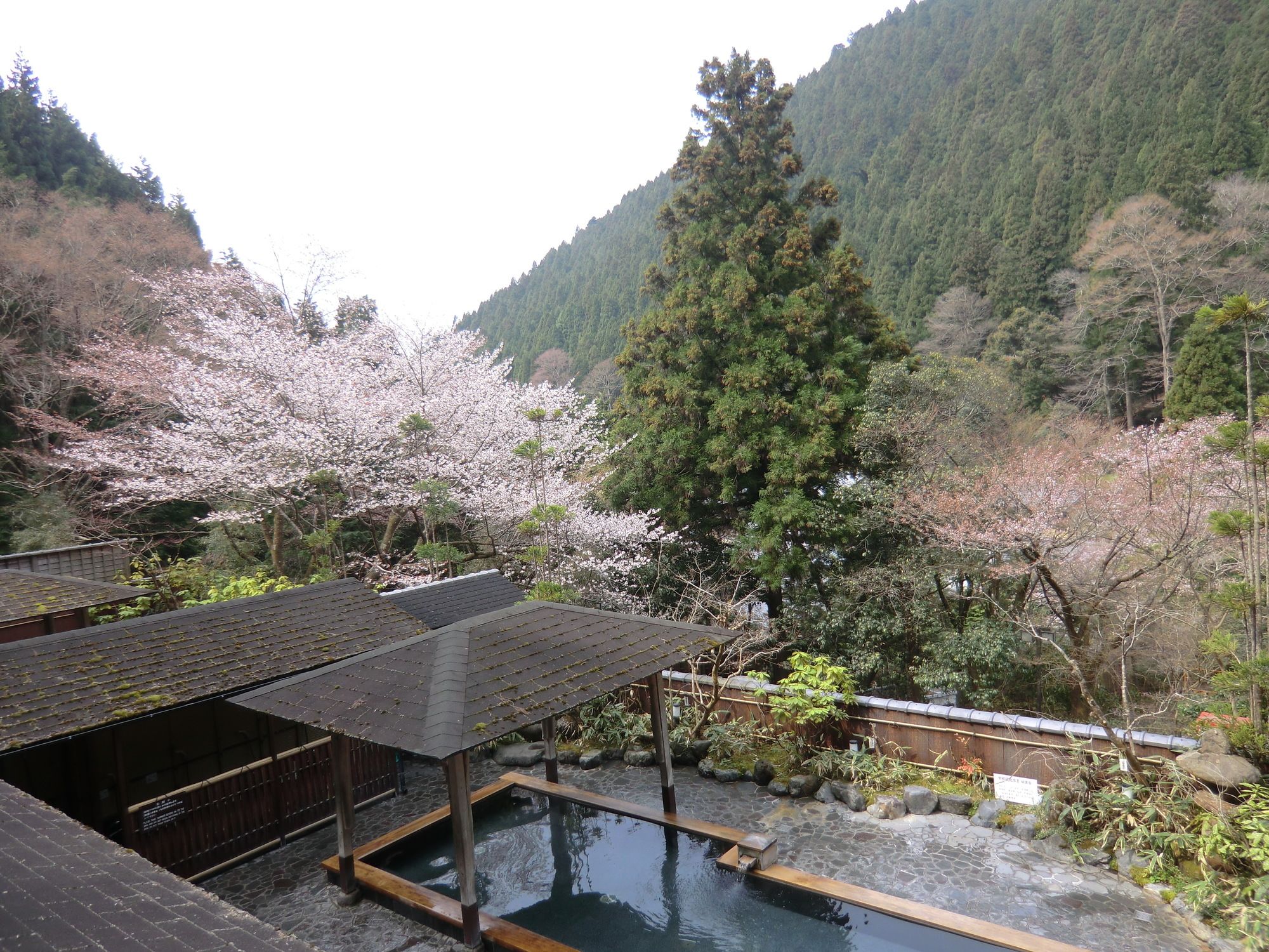 Kurama Onsen Ryokan