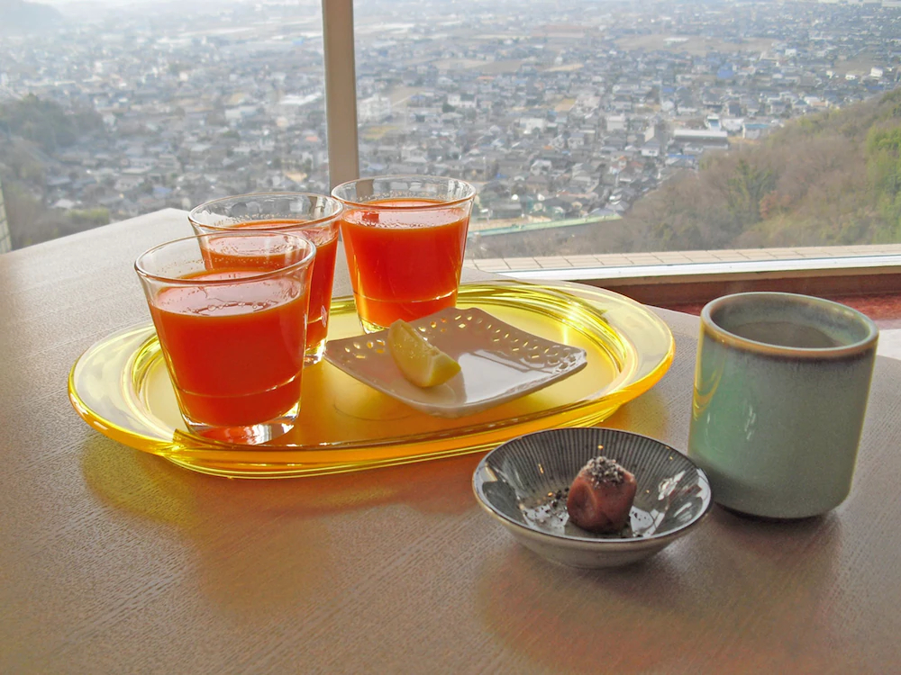 Healthpia Kurashiki Fasting Health