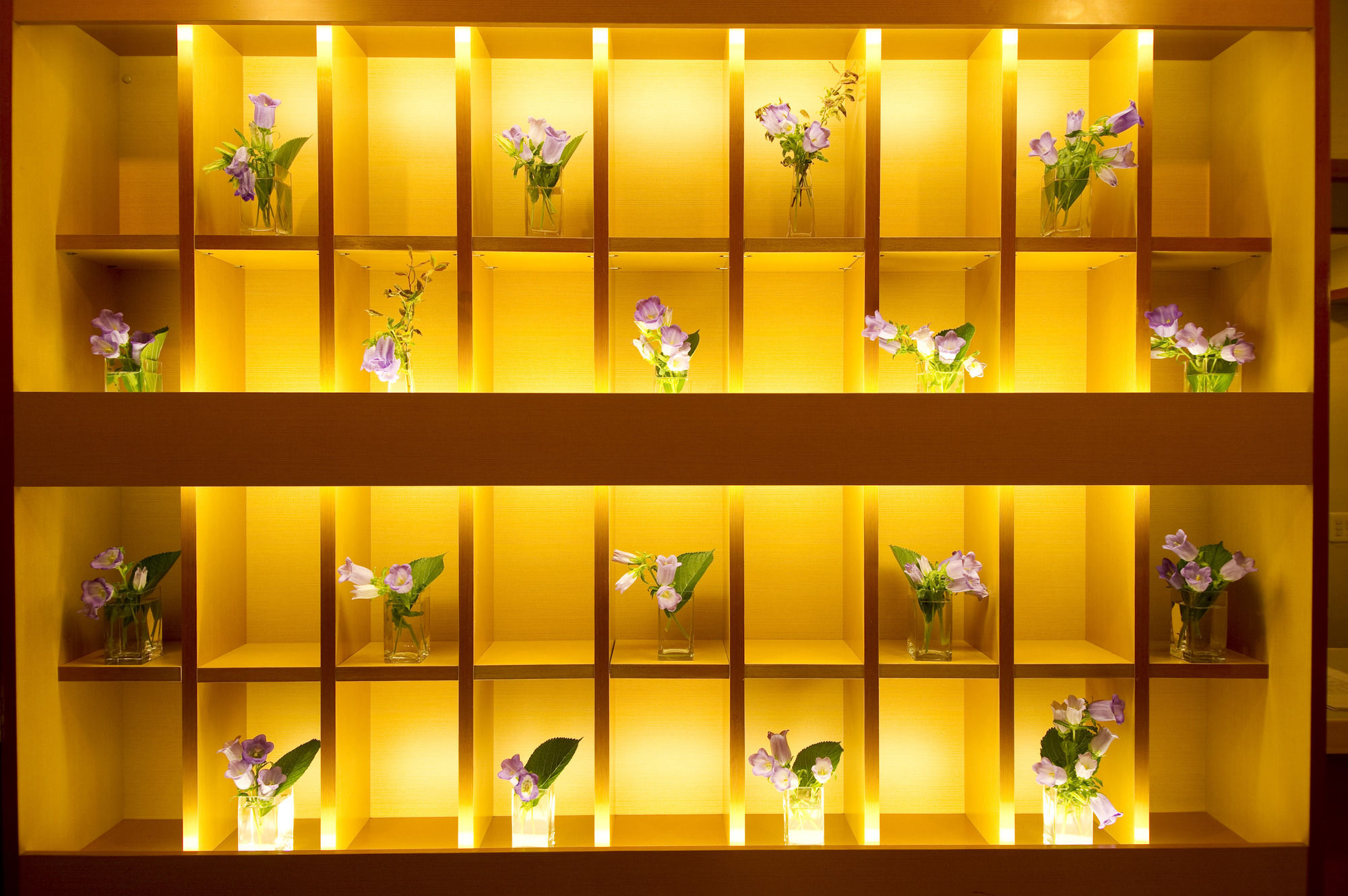 Kurayoshi City Hotel