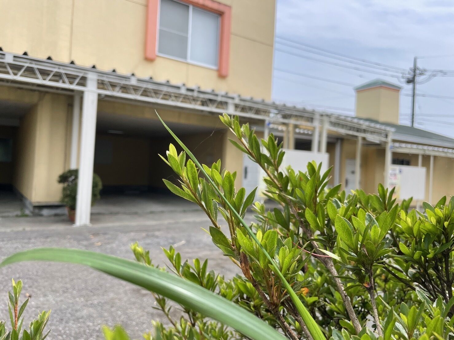 Lucia Resort