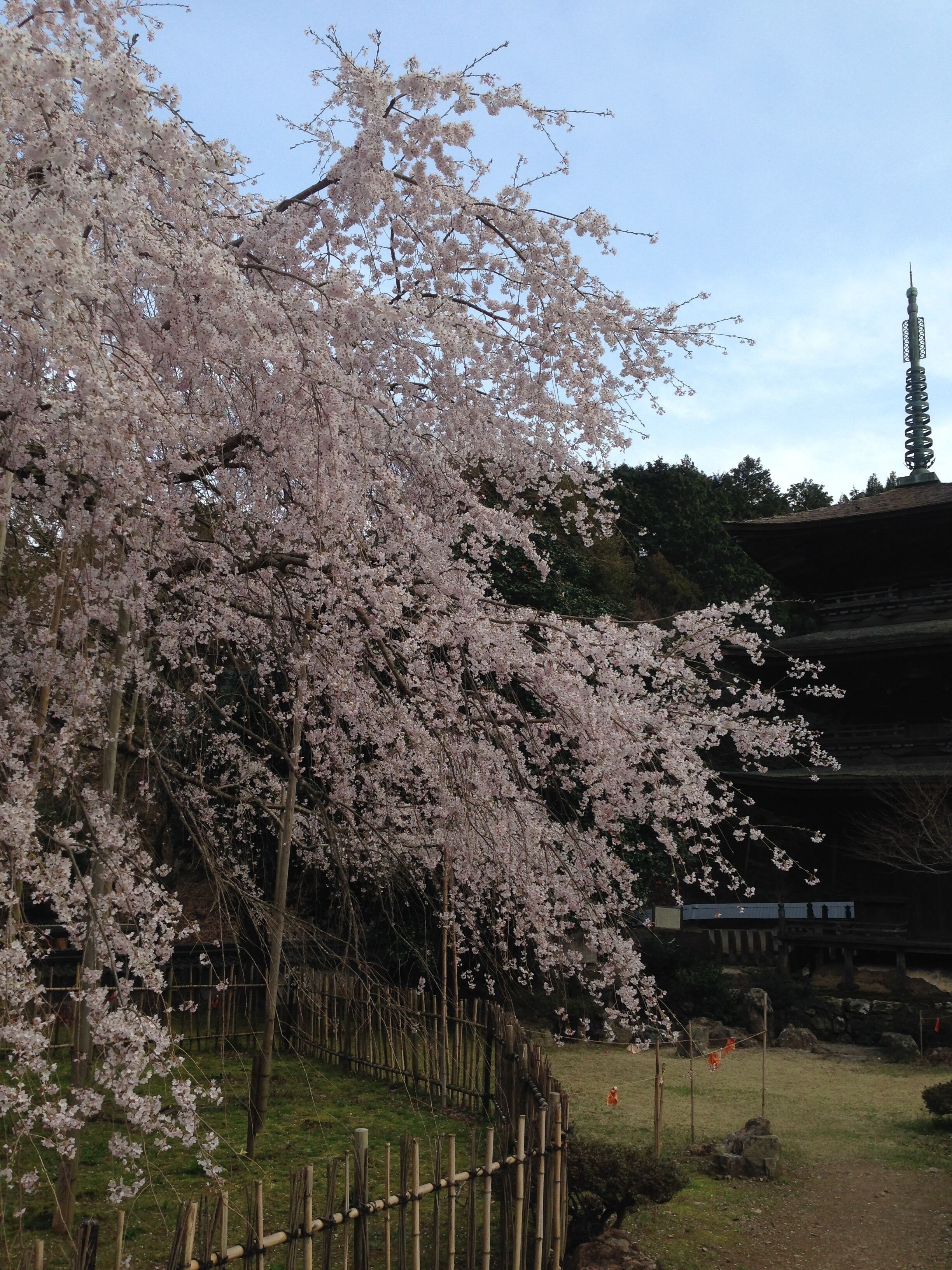 Nakasendo Guesthouse Meguruya