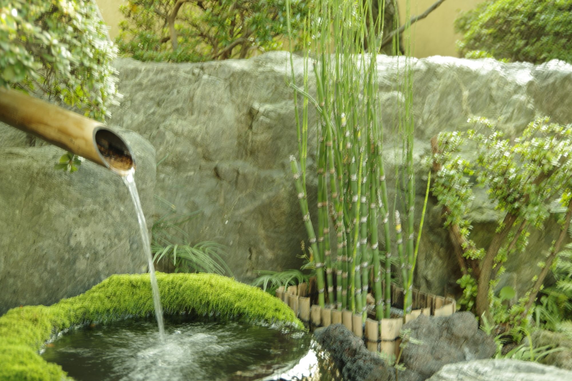 Guest House Engiya