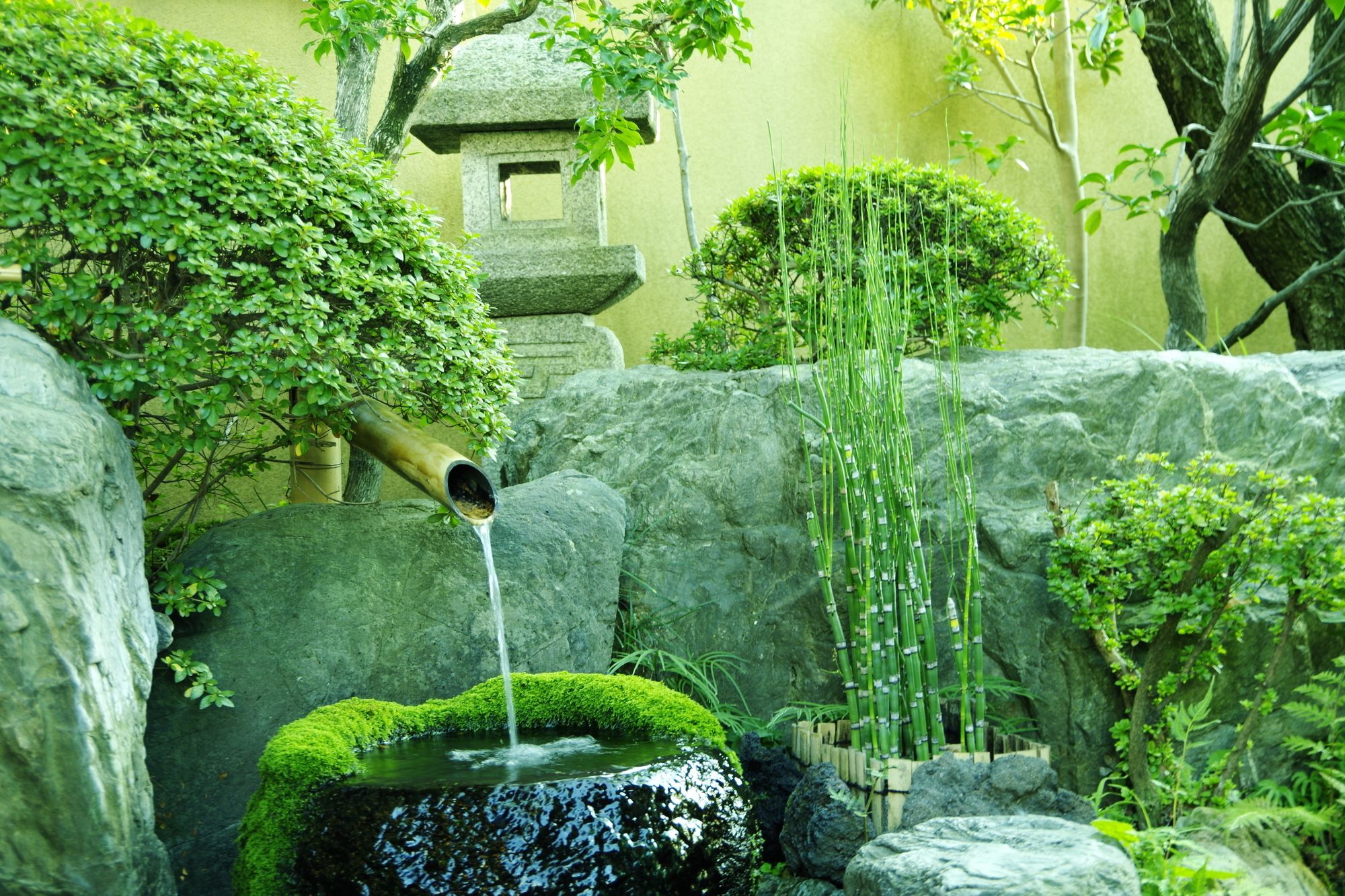 Guest House Engiya