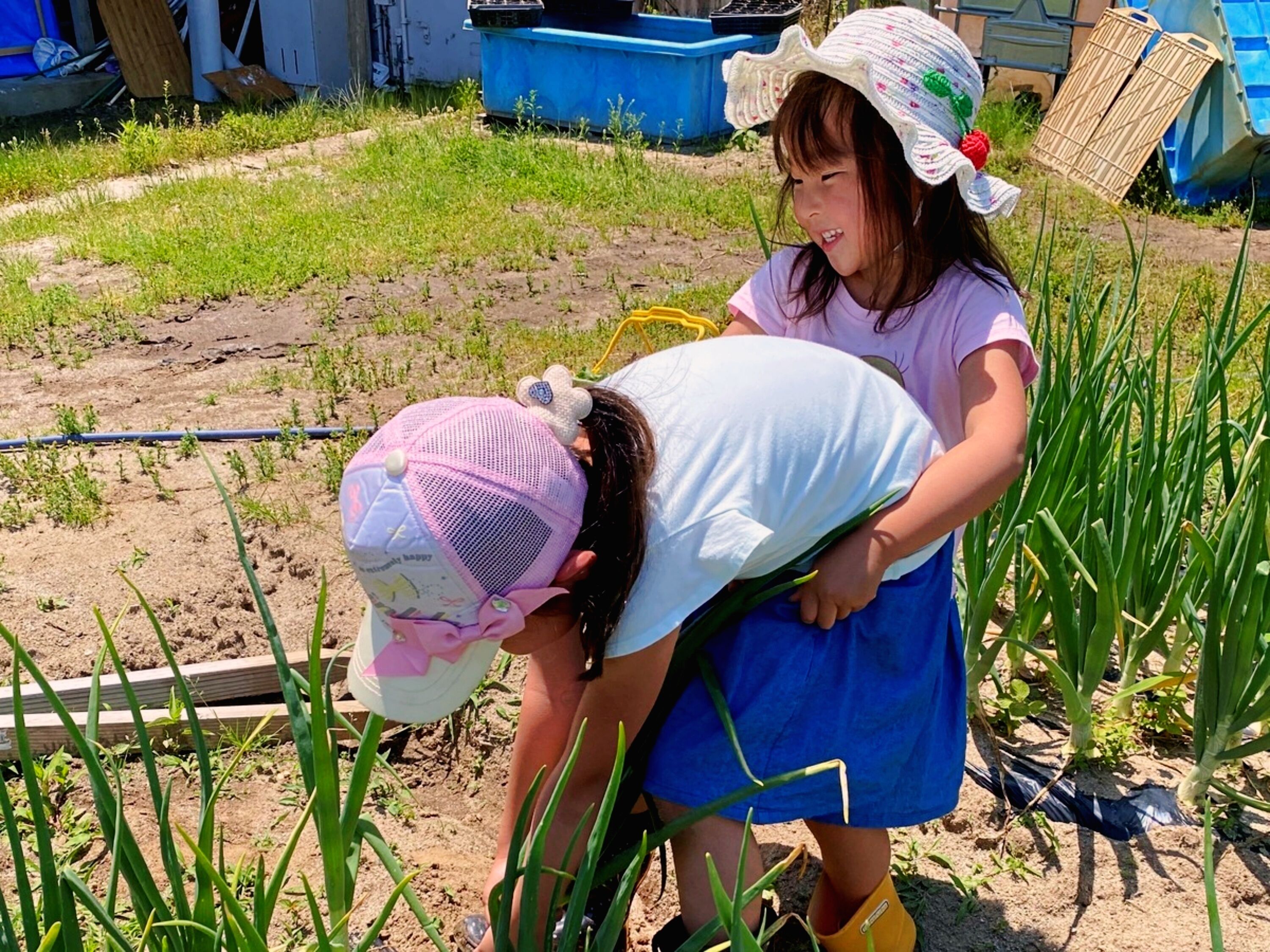Pastoral Enishinosato