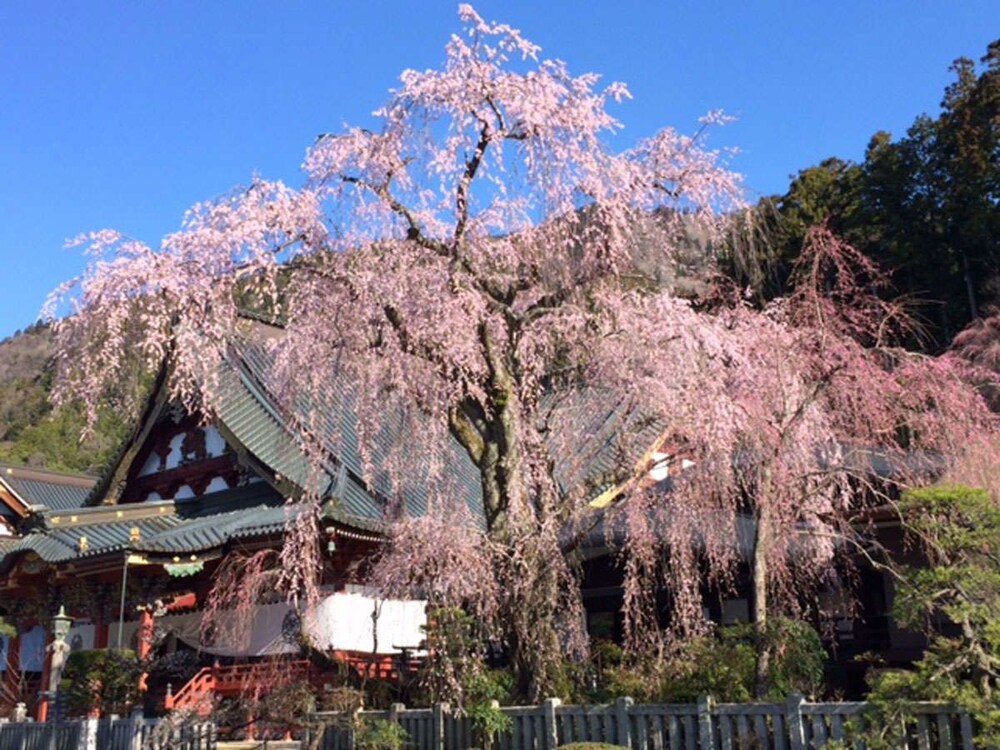 Tanakaya Ryokan