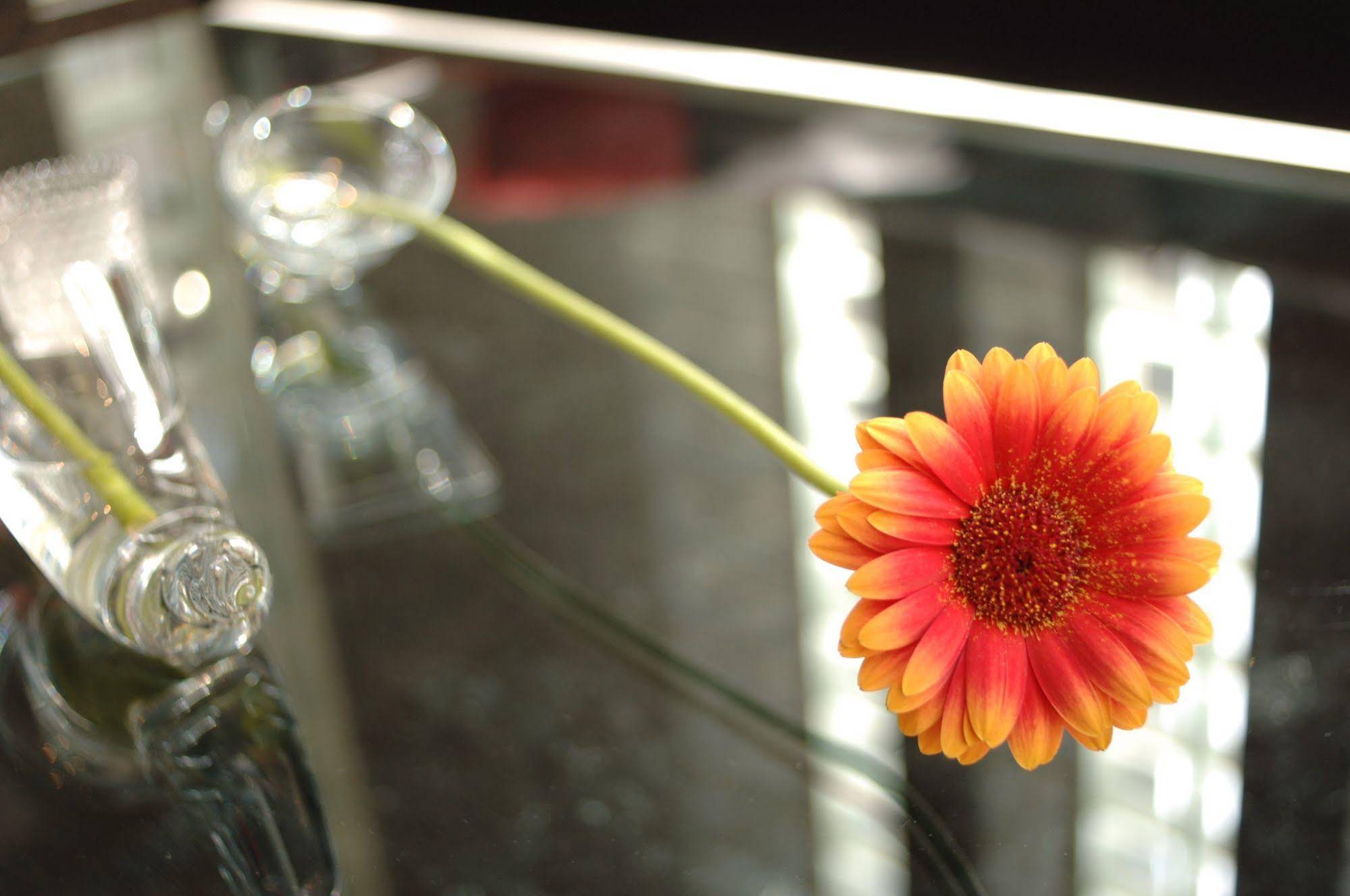 Hotel Massimo Mishima