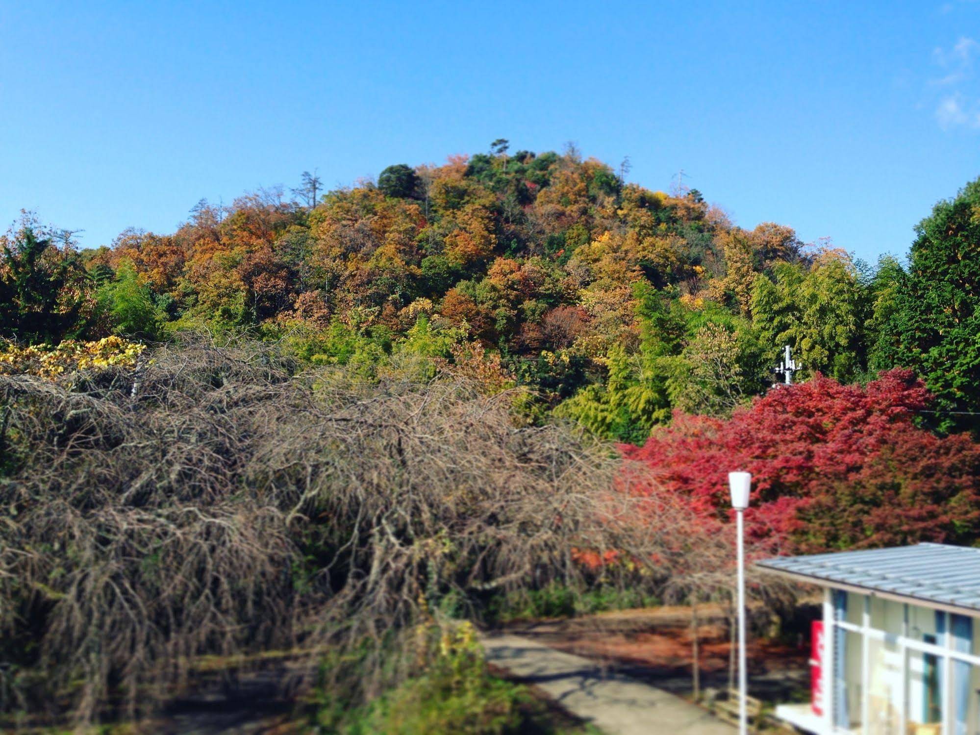 Amanohashidate Youth Hostel