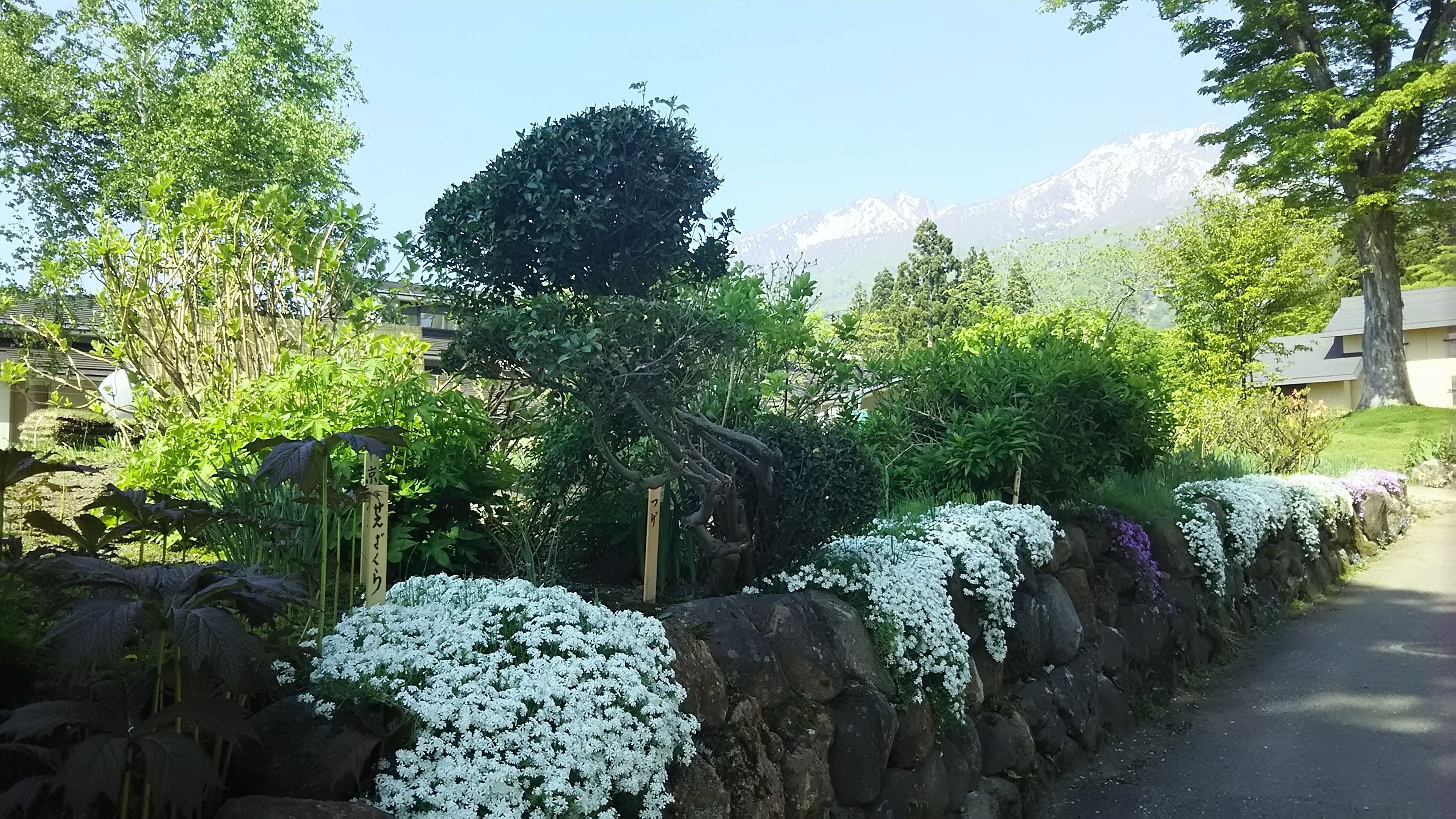 Akakura Hotel