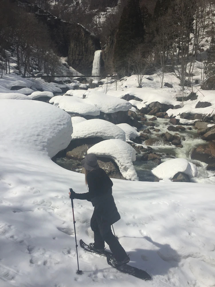Myoko Forest Lodge