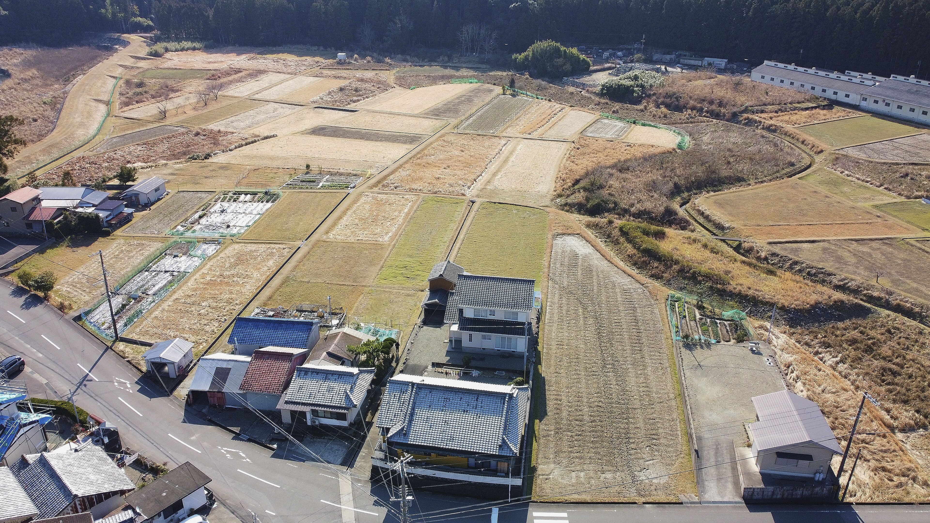 Rice Terrace Kumano Kodo Ohechi Route