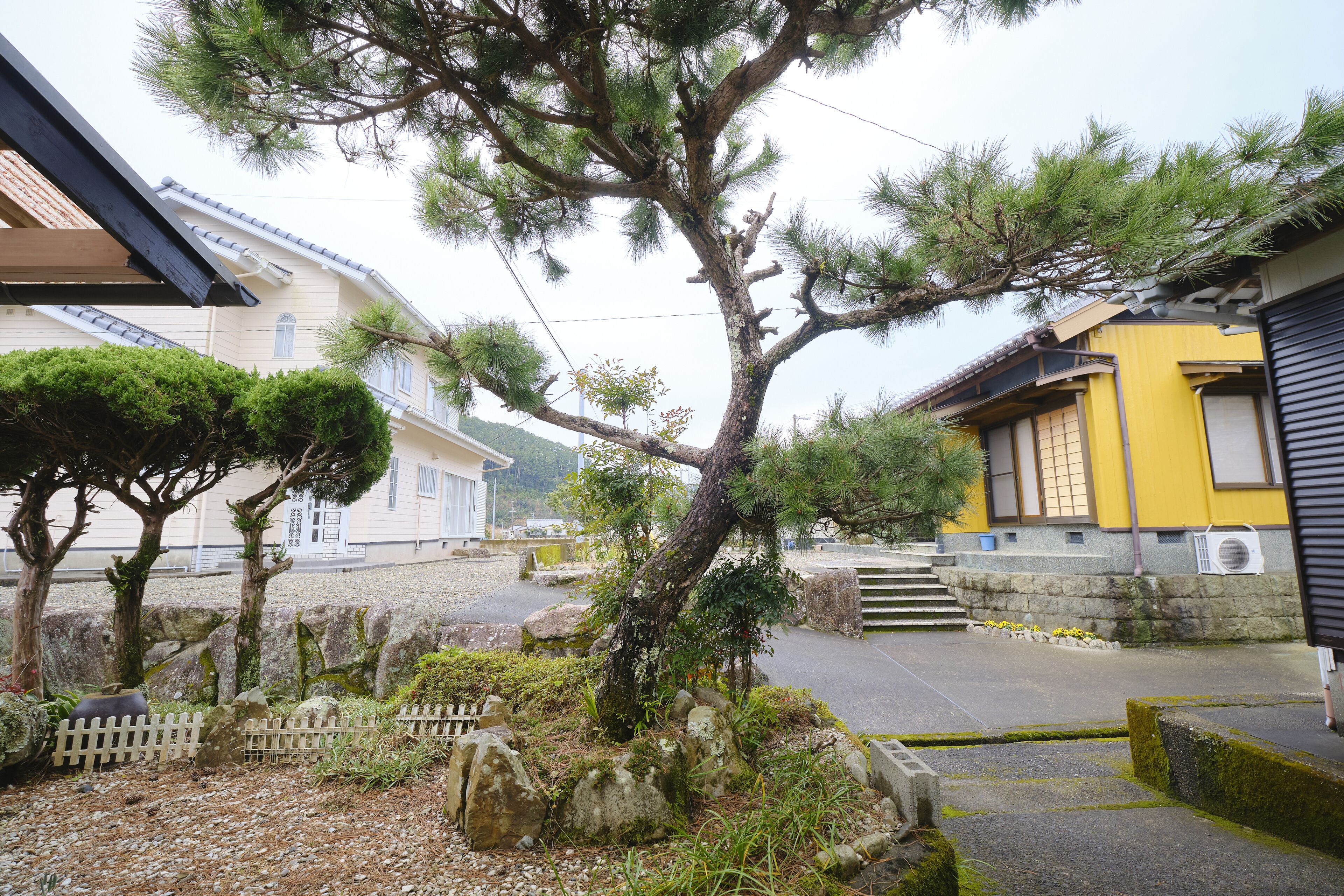 Rice Terrace Kumano Kodo Ohechi Route