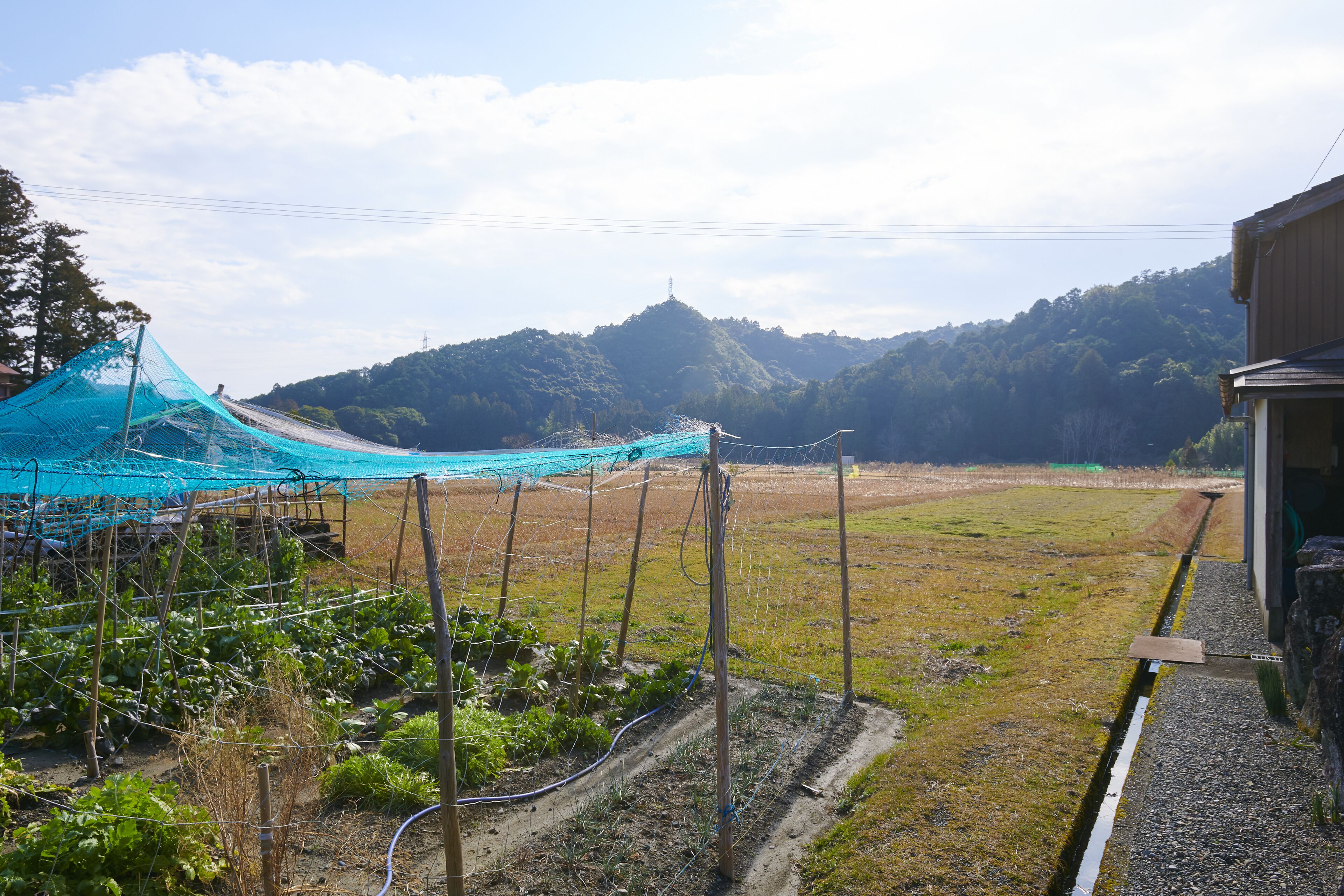 Rice Terrace Kumano Kodo Ohechi Route