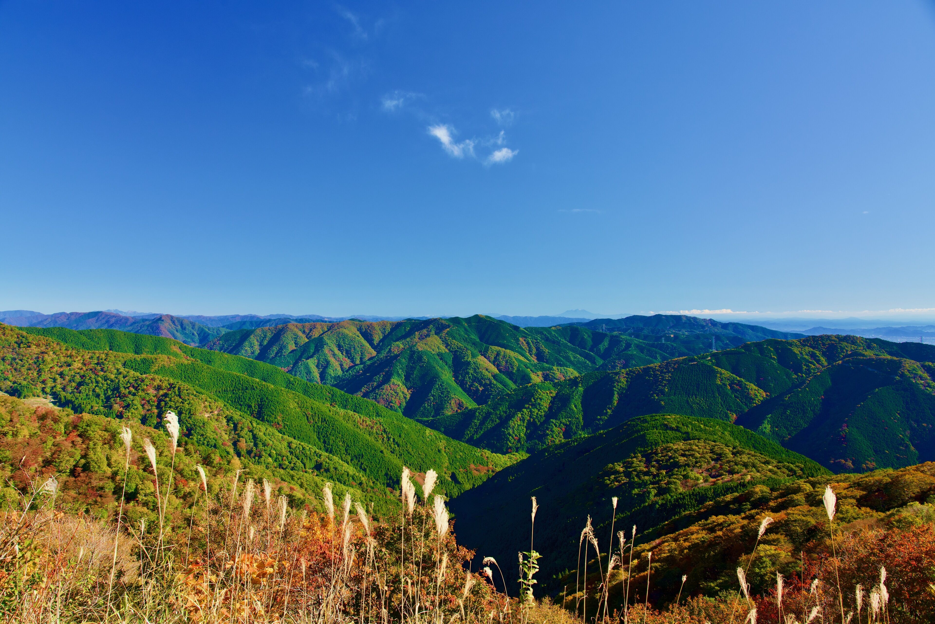 Wano Retreat Hitoiki