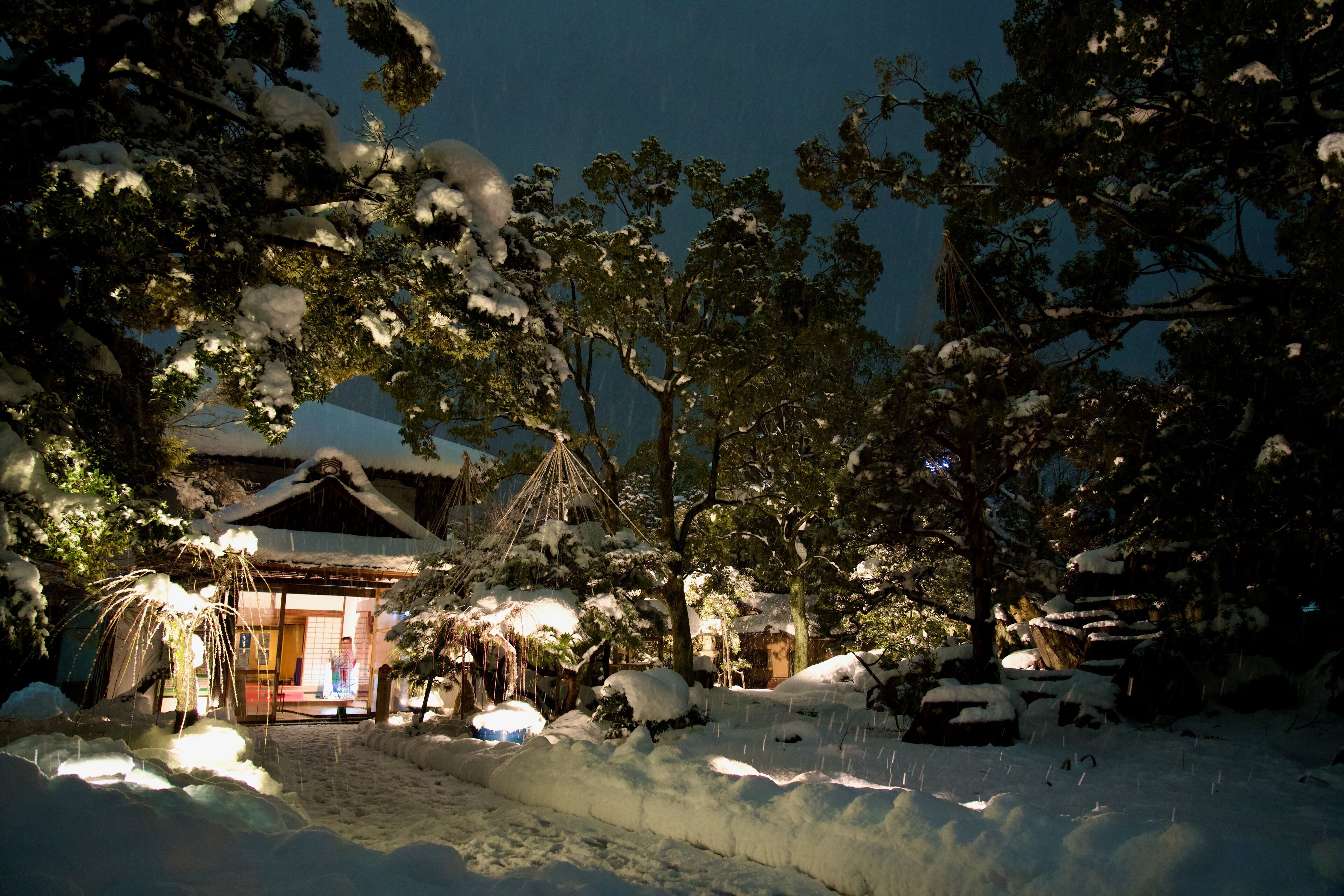 Wano Retreat Hitoiki