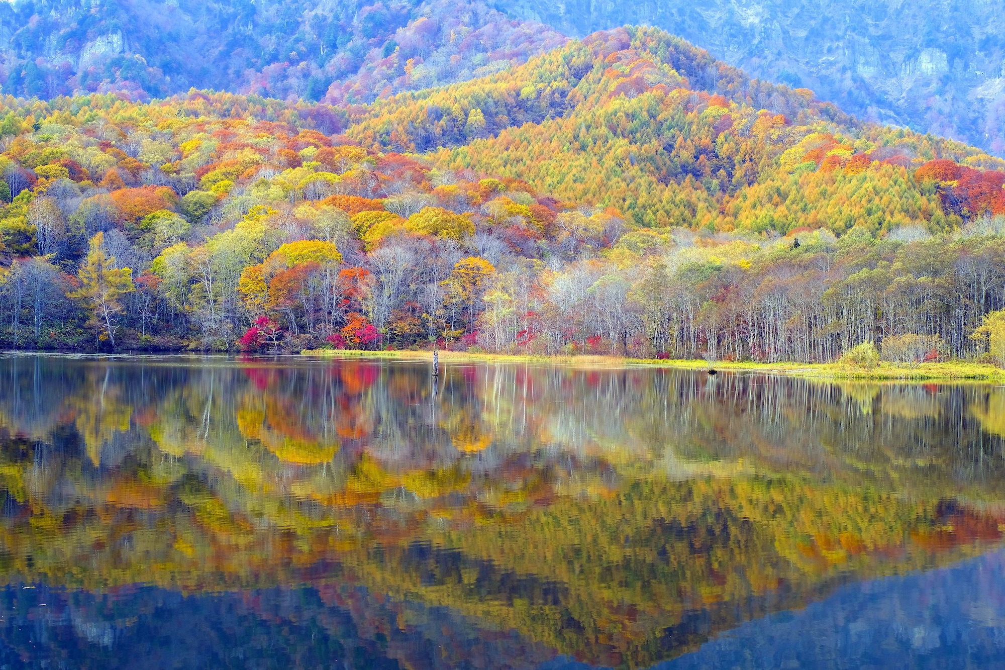 Sotetsu Fresa Inn Nagano-Zenkojiguchi