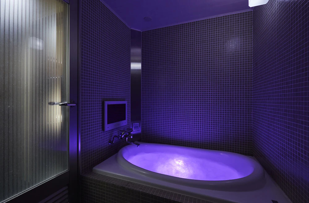 Hotel Love